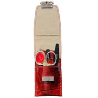 9747RF Набор маникюрный 5 пр